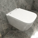 AICA wc -Livraison gratuite