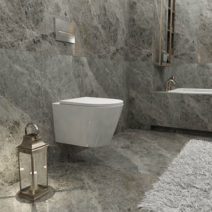 AICA wc -Livraison gratuite