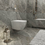 AICA wc -Livraison gratuite