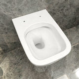 AICA wc -Livraison gratuite