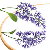 AICA miroir-de-salle-de-bain -Livraison gratuite