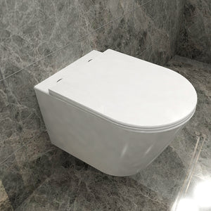 AICA wc -Livraison gratuite